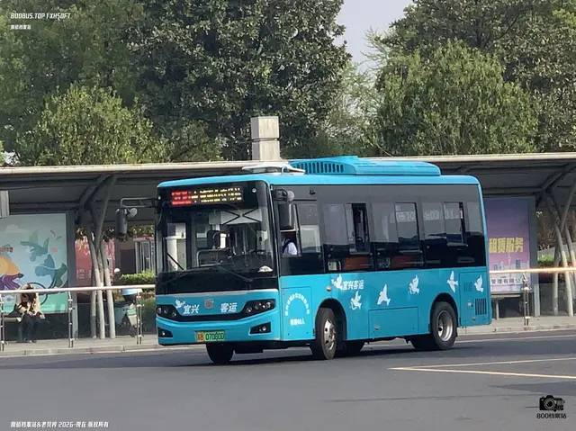 800BUS
