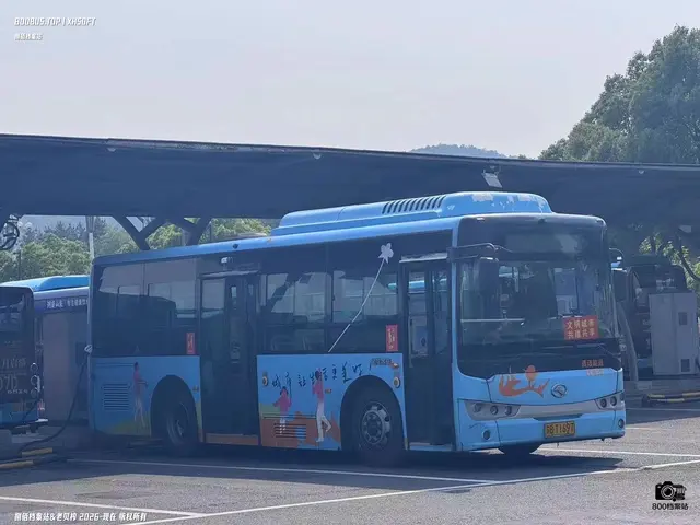 800BUS