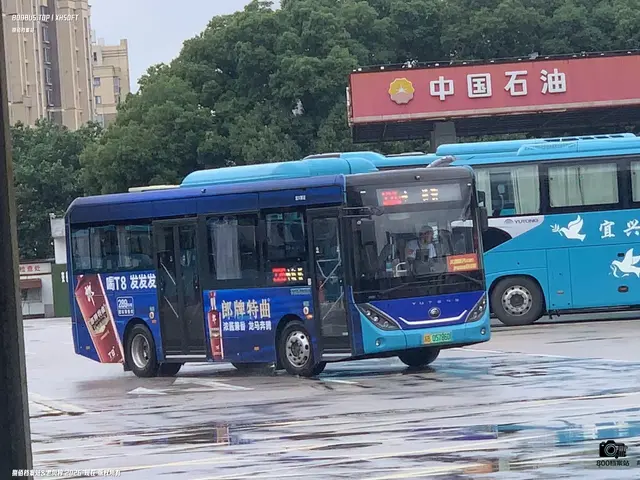 800BUS