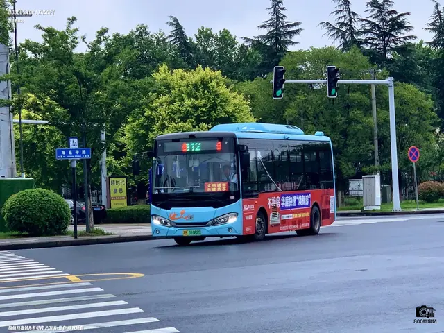 800BUS