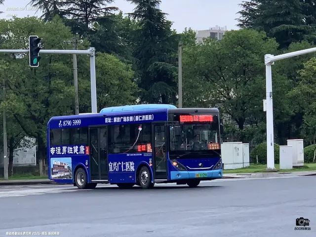 800BUS