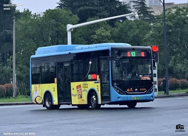 800BUS