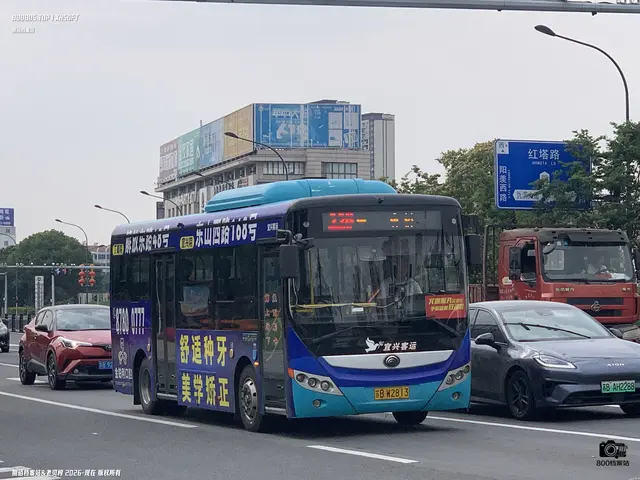 800BUS