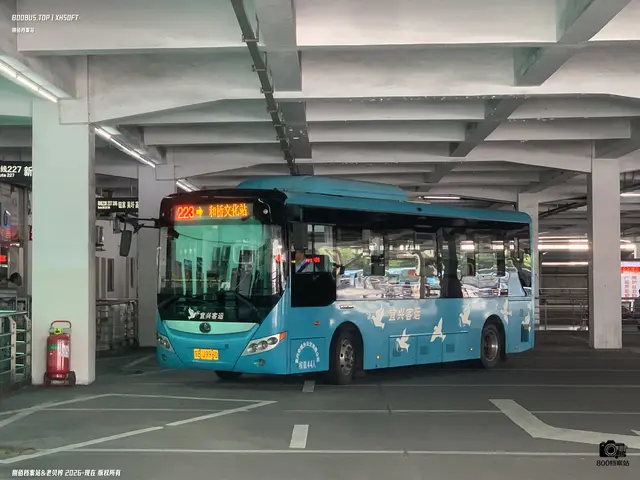 800BUS