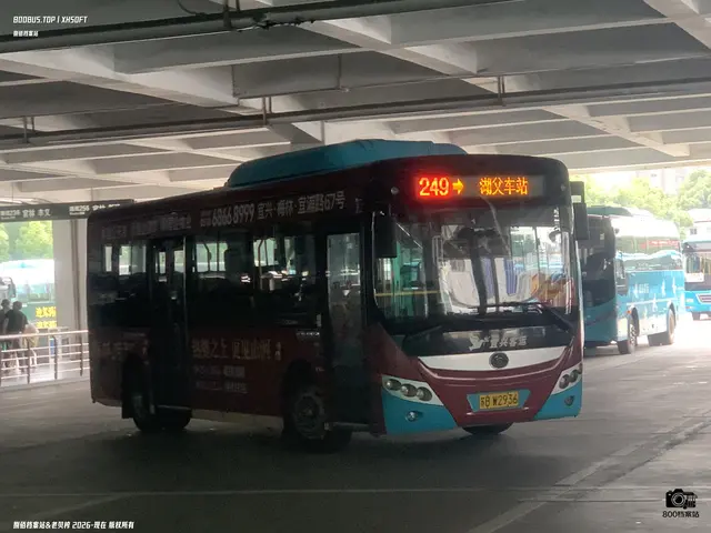 800BUS