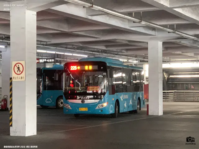 800BUS