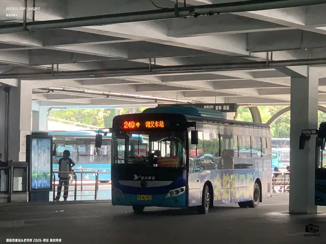 800BUS