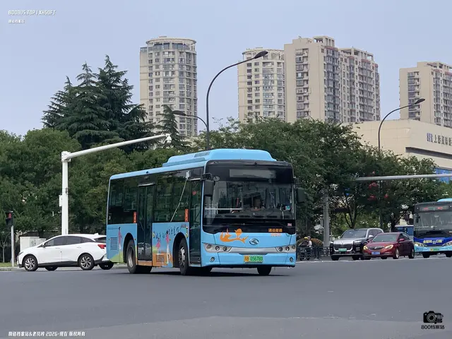 800BUS