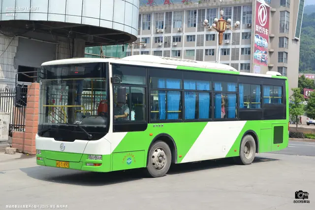 800BUS