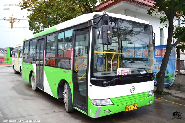 800BUS