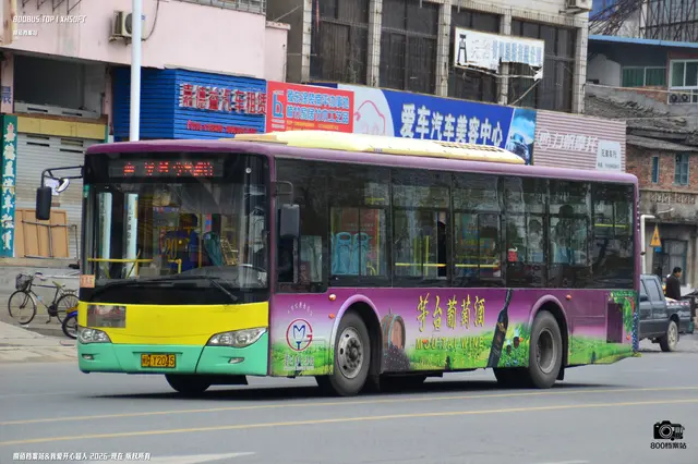 800BUS
