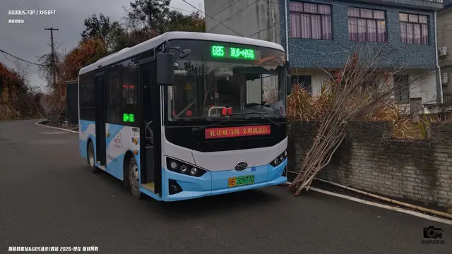 800BUS