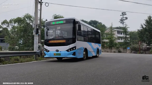 800BUS