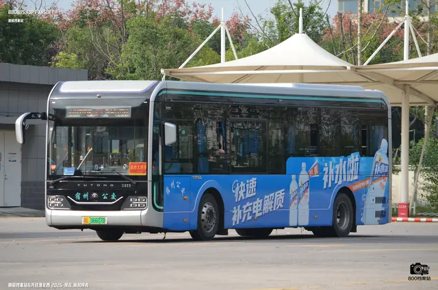 800BUS