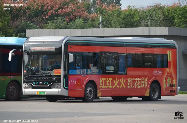 800BUS