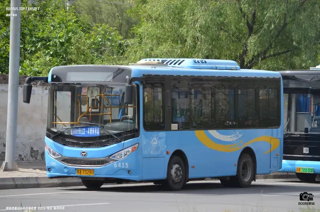 800BUS