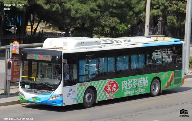 800BUS