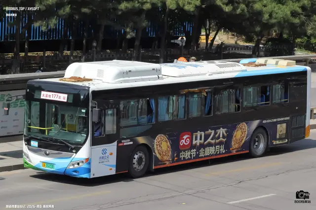 800BUS