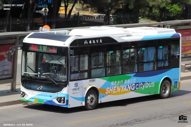 800BUS