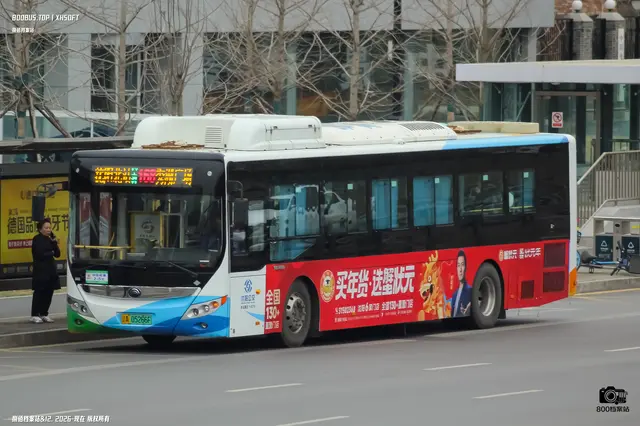 800BUS