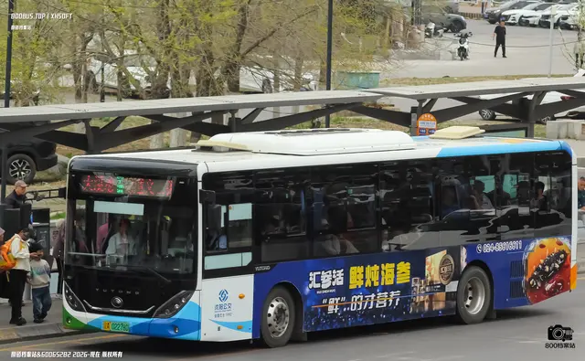 800BUS