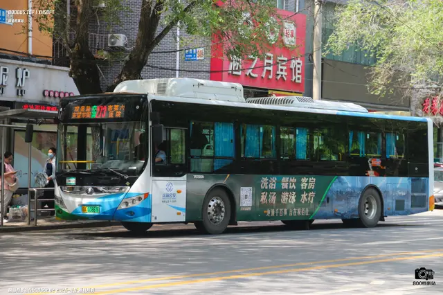 800BUS