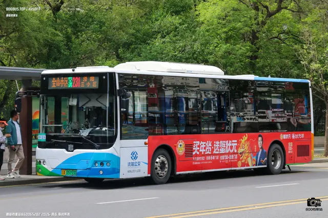 800BUS