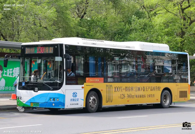 800BUS