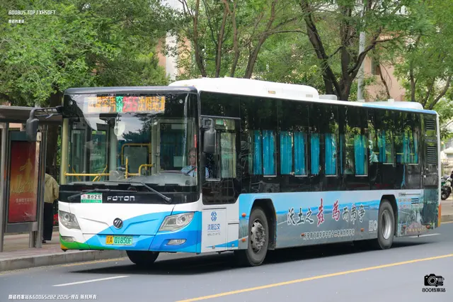 800BUS
