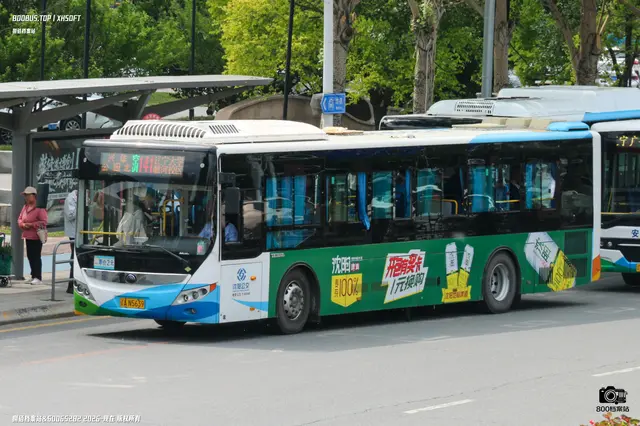 800BUS