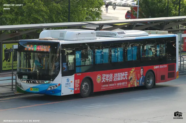 800BUS