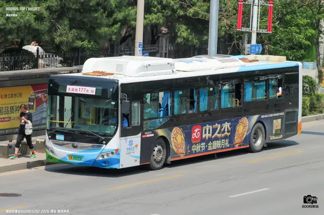 800BUS