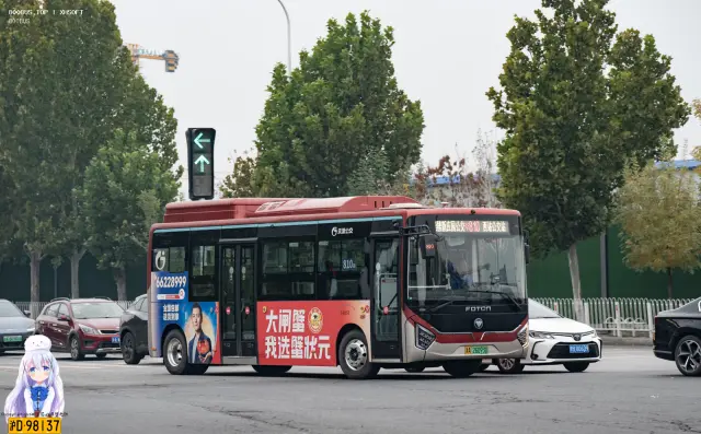 800BUS
