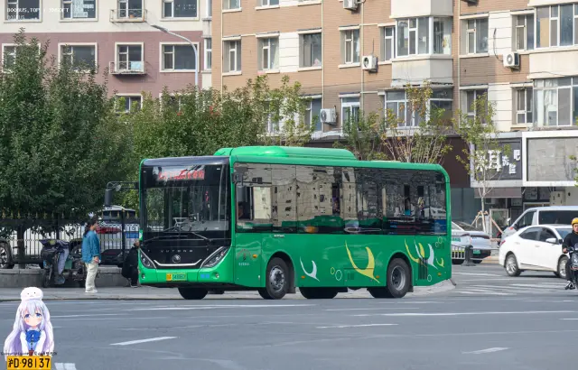 800BUS