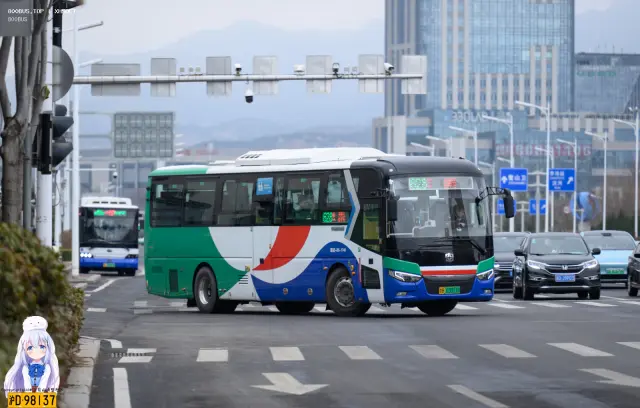 800BUS