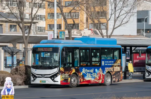 800BUS