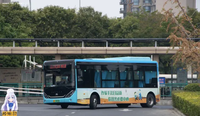 800BUS