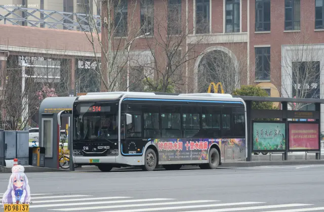 800BUS
