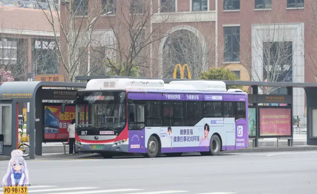 800BUS