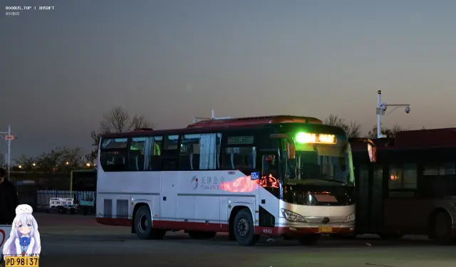 800BUS