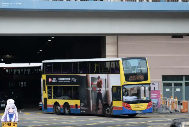 800BUS