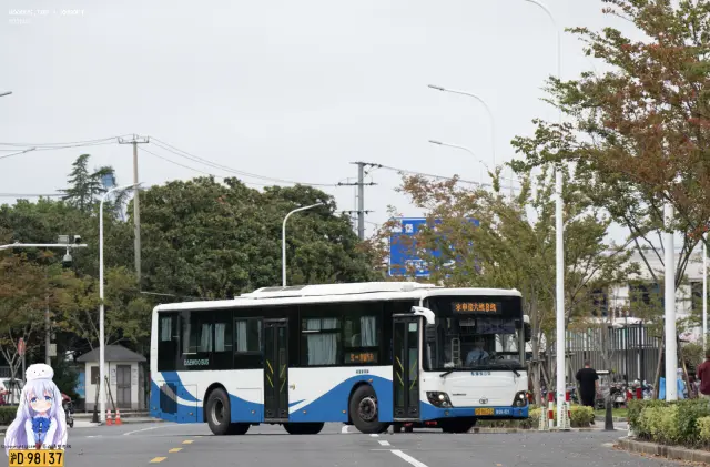800BUS