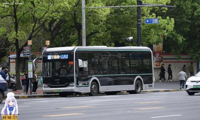 800BUS