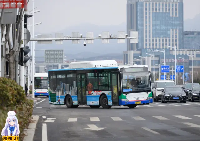 800BUS