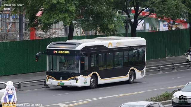 800BUS