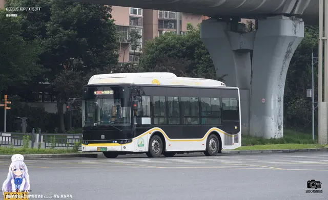 800BUS