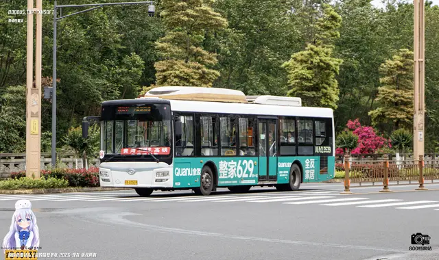 800BUS