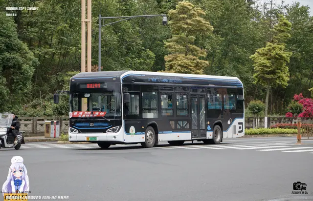 800BUS