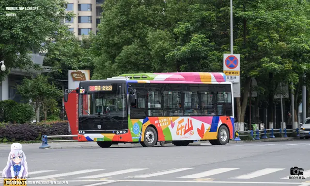 800BUS