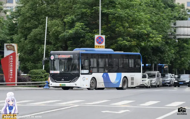 800BUS